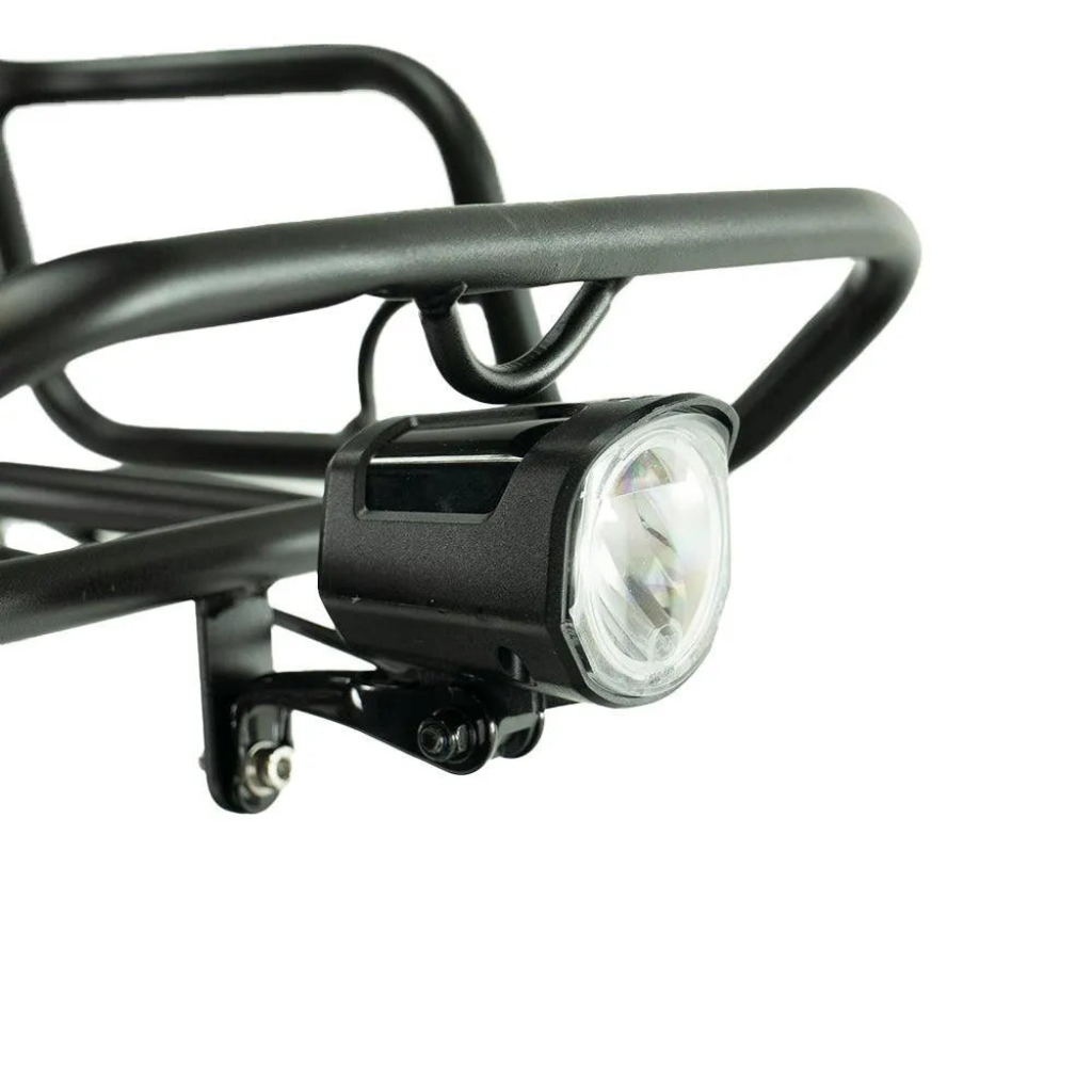 ENGWE L20 Boost - Grün (inkl. kostenlosem Frontkorb)