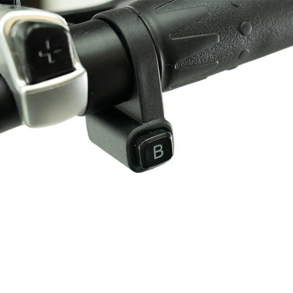 ENGWE L20 Boost - Grün (inkl. kostenlosem Frontkorb)