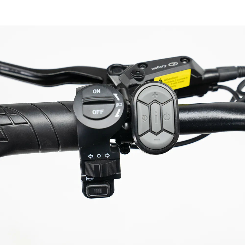 OUXI C80 - Schwarz (inkl. Fußstützen, Rücksitzbank & Alarmanlage)