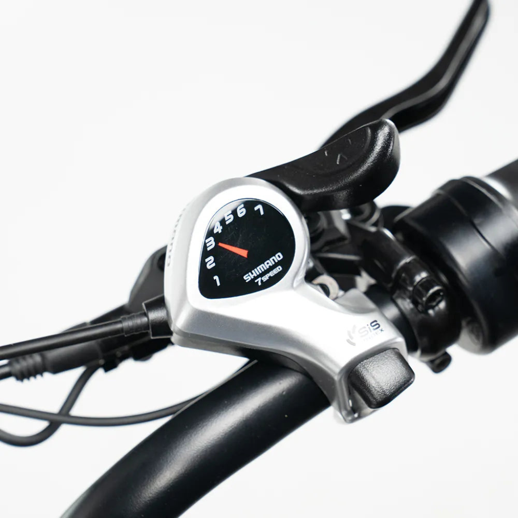 OUXI C80 - Schwarz (inkl. Fußstützen, Rücksitzbank & Alarmanlage)