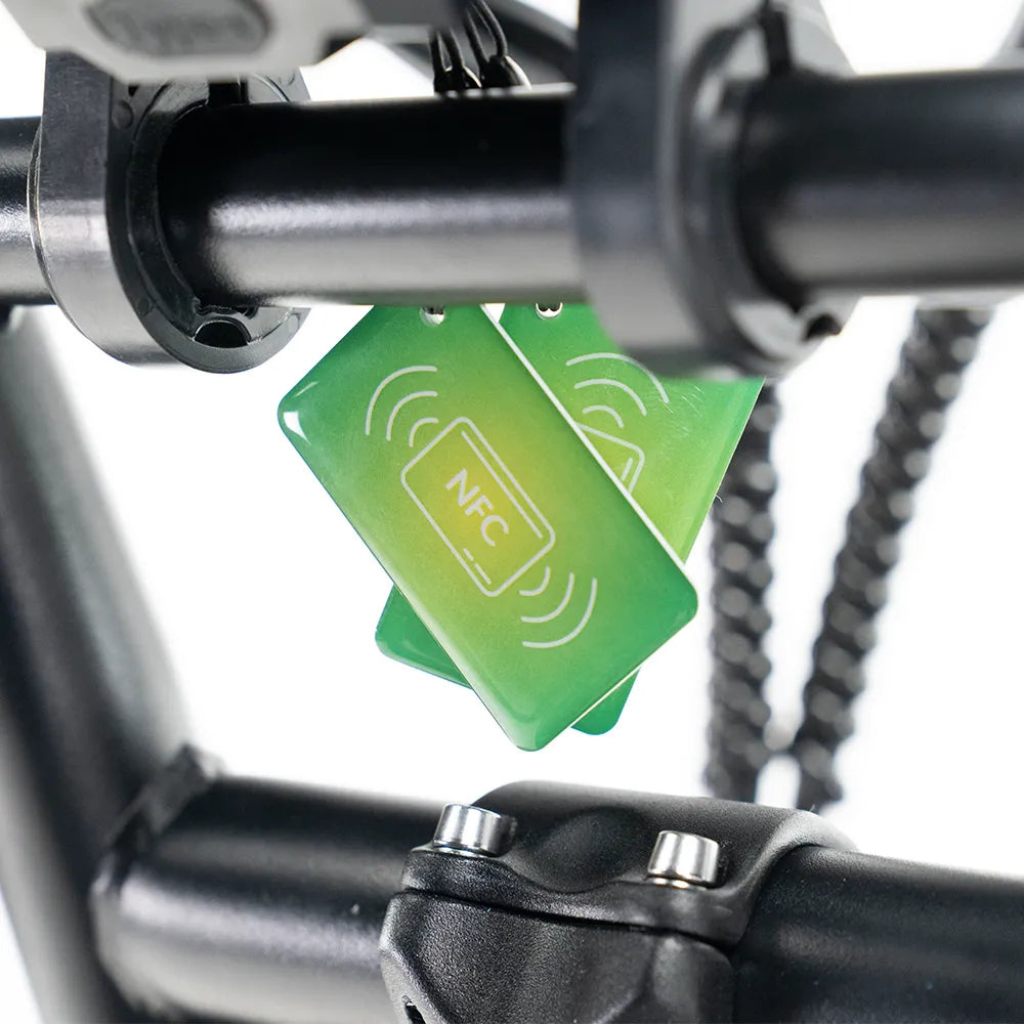 OUXI C80 - Schwarz (inkl. Fußstützen, Rücksitzbank & Alarmanlage)