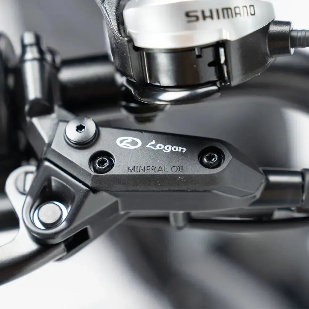 QMWHEEL V20 Pro - Schwarz (inkl. Rücksitz, Frontgepäckträger & Alarmanlage)