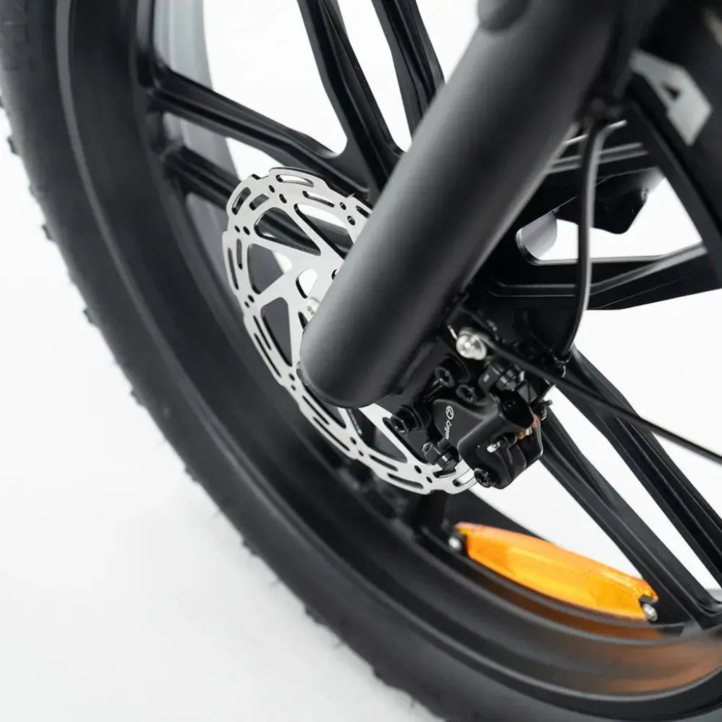 QMWHEEL V20 Pro - Schwarz (inkl. Rücksitz, Frontgepäckträger & Alarmanlage)