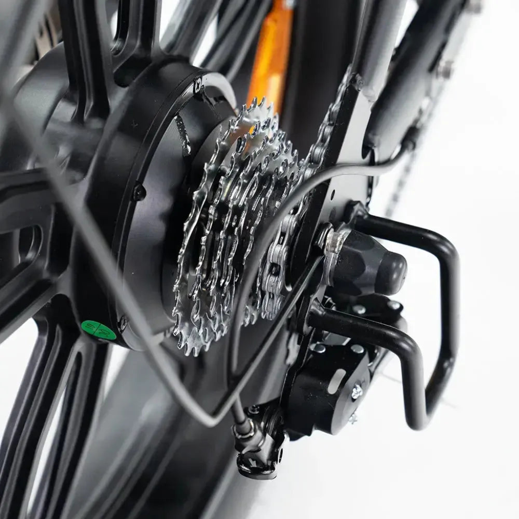 QMWHEEL V20 Pro - Schwarz (inkl. Rücksitz, Frontgepäckträger & Alarmanlage)