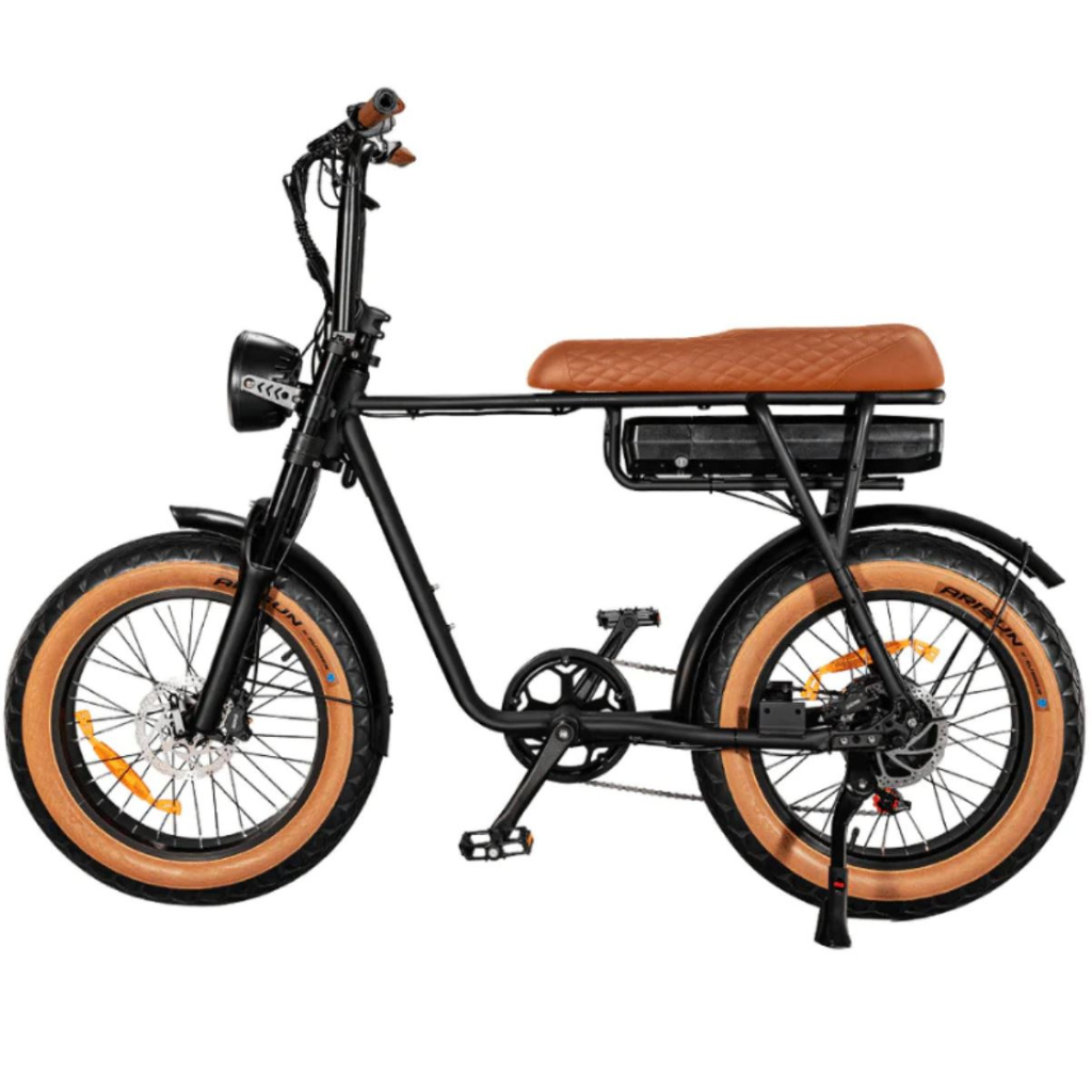 EB2 Fatbike - Braun