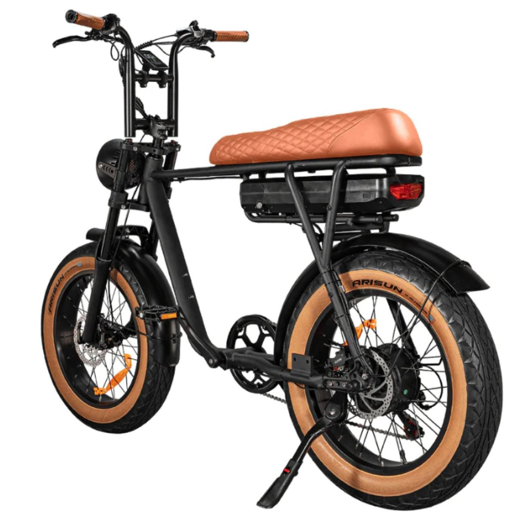 EB2 Fatbike - BraunEB2 Fatbike - Braun