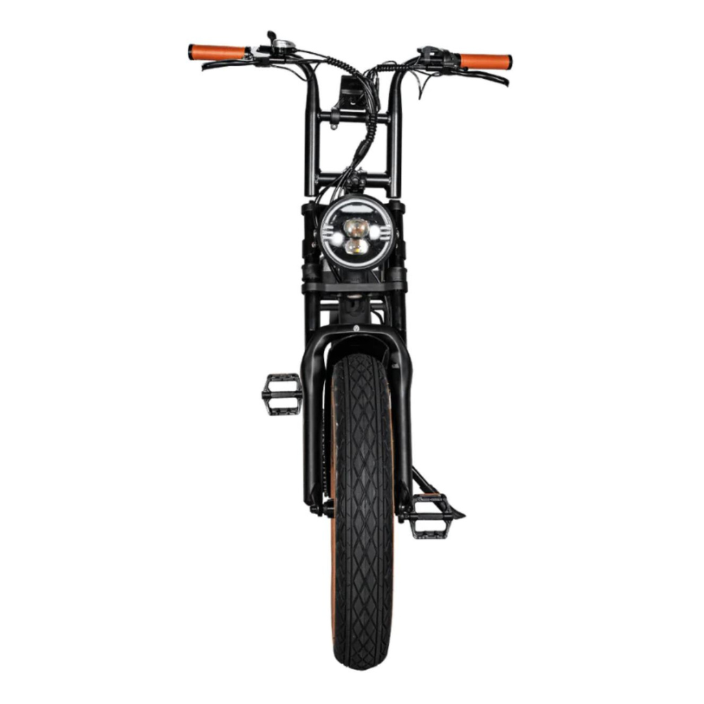 EB2 Fatbike - BraunEB2 Fatbike - Braun