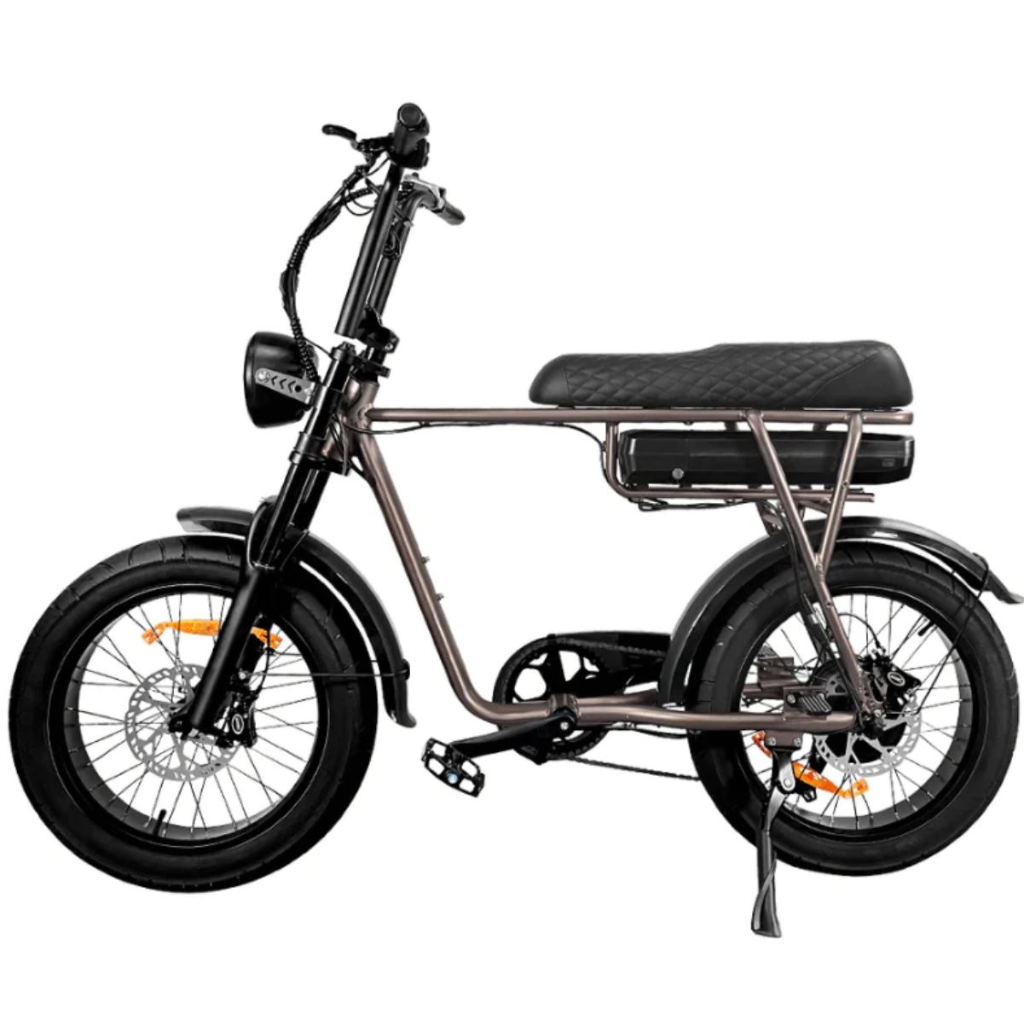 EB2 Fatbike - Kaffee