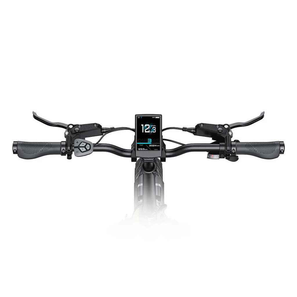 ENGWE L20 3.0 Pro - SchwarzENGWE L20 3.0 Pro - Schwarz
