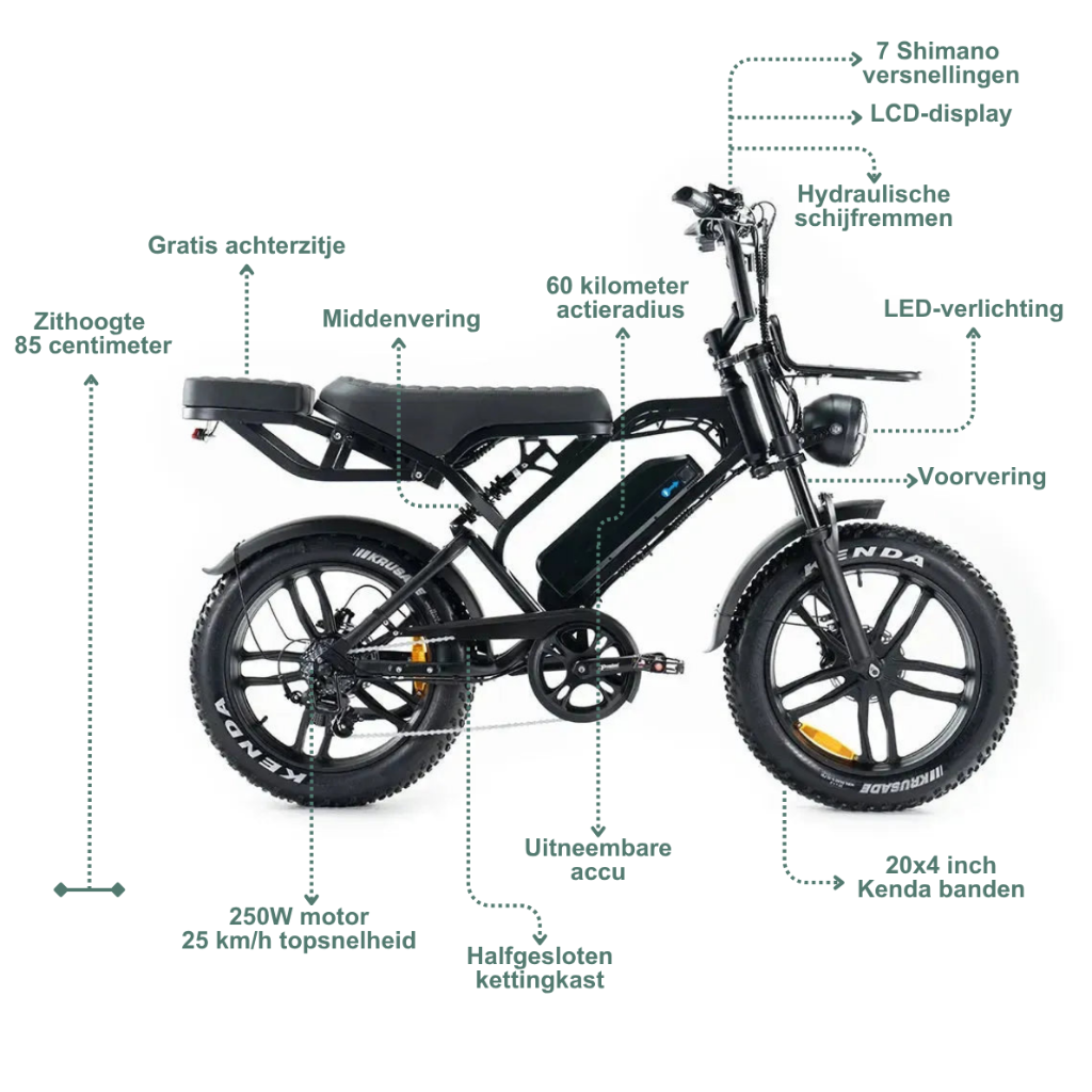 QMWHEEL V20 Pro - Schwarz (inkl. Rücksitz, Frontgepäckträger &amp; Alarmanlage)