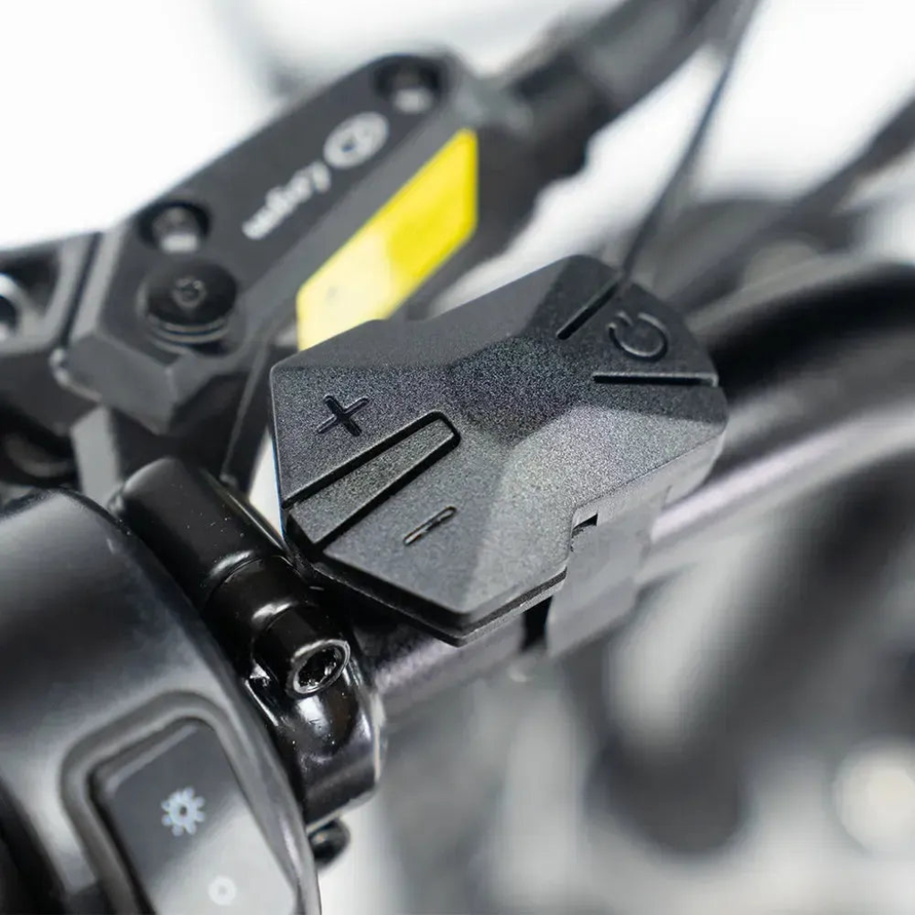 QMWHEEL V20 Pro - Schwarz (inkl. Rücksitz, Frontgepäckträger &amp; Alarmanlage)